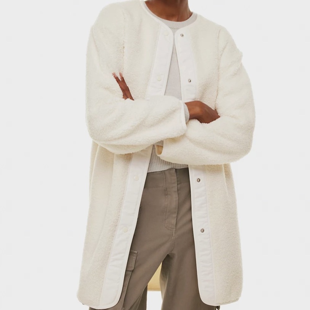 Aritzia Wilfred Free coat